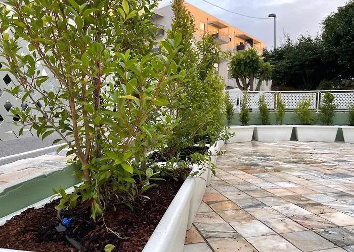 Merim * Ponte de Lima